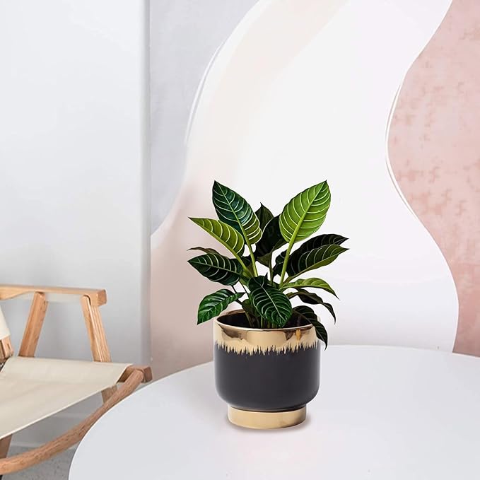 LB Black Gold Ceramic Planters for Indoor Plants, Succulent Plant Pots Ceramic Plant Pot, Modern Flower Pots for Living Room Office Home Decor, Round Flower Pot of 4.3 Inch(Plant Not Included)