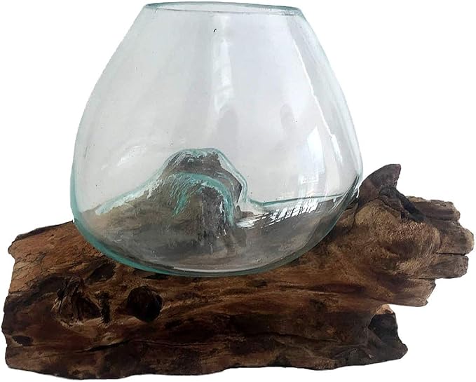 OMA Molten Glass on Driftwood – Hand Blown Vase, Terrarium, or Planter Centerpiece for Coastal & Boho Home Décor (7" – 9" High)
