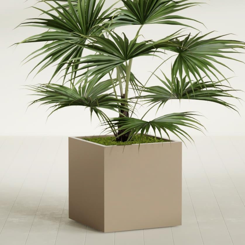 Greenline Jack Large Square Cube Fiberglass Planter, Modern Indoor/Outdoor