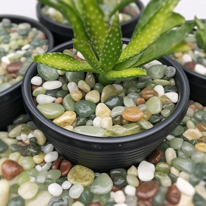 12 LBS River Rocks, StoneCreek, Decorative Garden Stones for Plant Landscaping, Polished Gravel Filler Pebbles for Home Decoration, Vases, Succulents, Flower Beds and Fish Tanks (Jade, Medium)