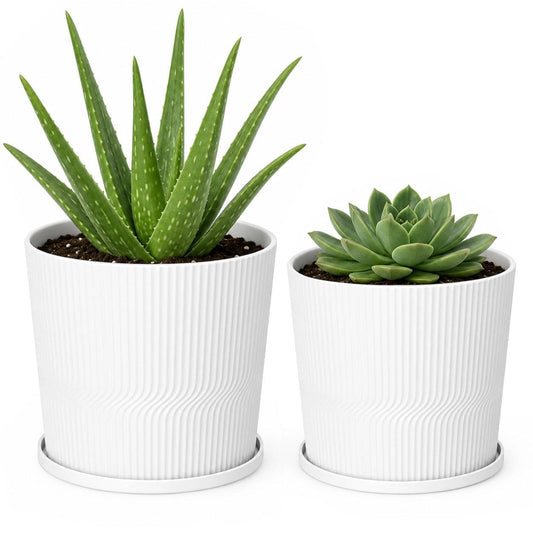 2 Plant Pots Indoor,4.8''+5.5'' Small Flower Pots with Saucers & Drainage