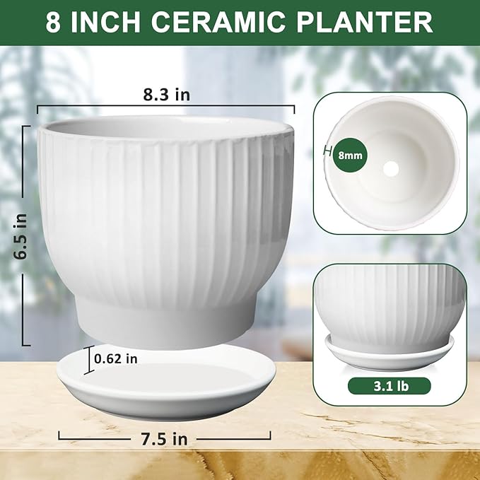 8 Inch Plant Pot,Ceramic Planter with Drainage and Saucer,Ceramic Pots for Plants,Indoor Plant pots,Ceramic Flower pots(Pure White, Plants NOT Included)