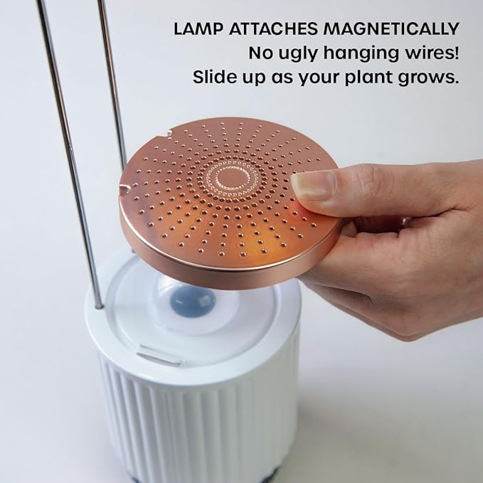 Mini Smart Planter Kit with Petunia Plant Pods by Click&Grow, Hydrovase Indoor Garden, Self-Watering Pot with Grow Light (White)