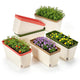 PH PandaHall 6 Sets Window Herb Planter Box Self Watering Plant Pots, 10.6 Inch Rectangular Flower Pots with Water Level Indicator for Windowsill Patio Garden Flowers Seedlings