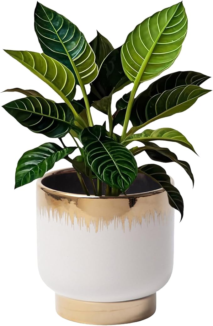 LB White Gold Ceramic Plant Pot for Indoor Plants, Succulent Planters Ceramic Plant Pots, Modern Flower Pots for Living Room Office Home Decor, Round Flower Pot of 4.3 Inch(Plant Not Included)