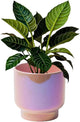LB Pink Purple Ceramic Planters for Indoor Plants, Succulent Plant Pots Ceramic Plant Pot, Cute Flower Pots for Living Room Office Home Decor, Round Flower Pot of 4.3 Inch(Plant Not Included)