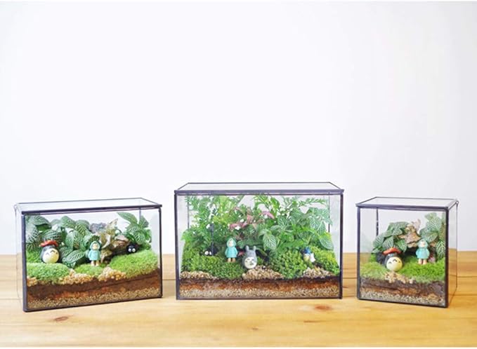 Glass Plants Terrarium with Lid,Rectangle Black Pot Box for Indoor Plants,Geometric Clear Containers for Moss and Succulent,Tabletop Decor DIY Gift,8.3”L x 4.7”W x 5.5”H