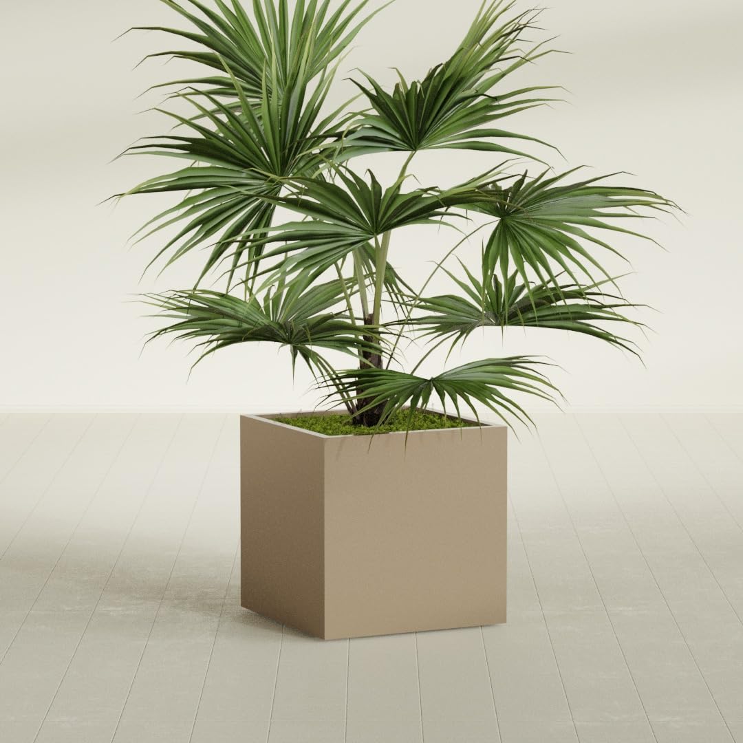 Greenline Jack Large Square Cube Fiberglass Planter, Modern Indoor/Outdoor