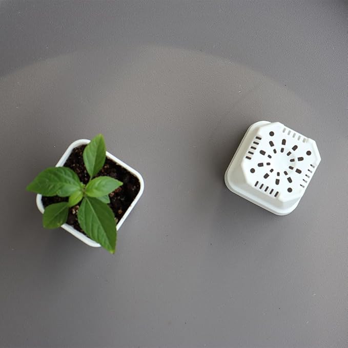 BangQiao 200 Pack 1.95 Inch Tiny White Plastic Square Nursery and Seedling Pot, Mini Transplant Seed Starter Planter with Drain Hole for Germination, Herb, Succulent