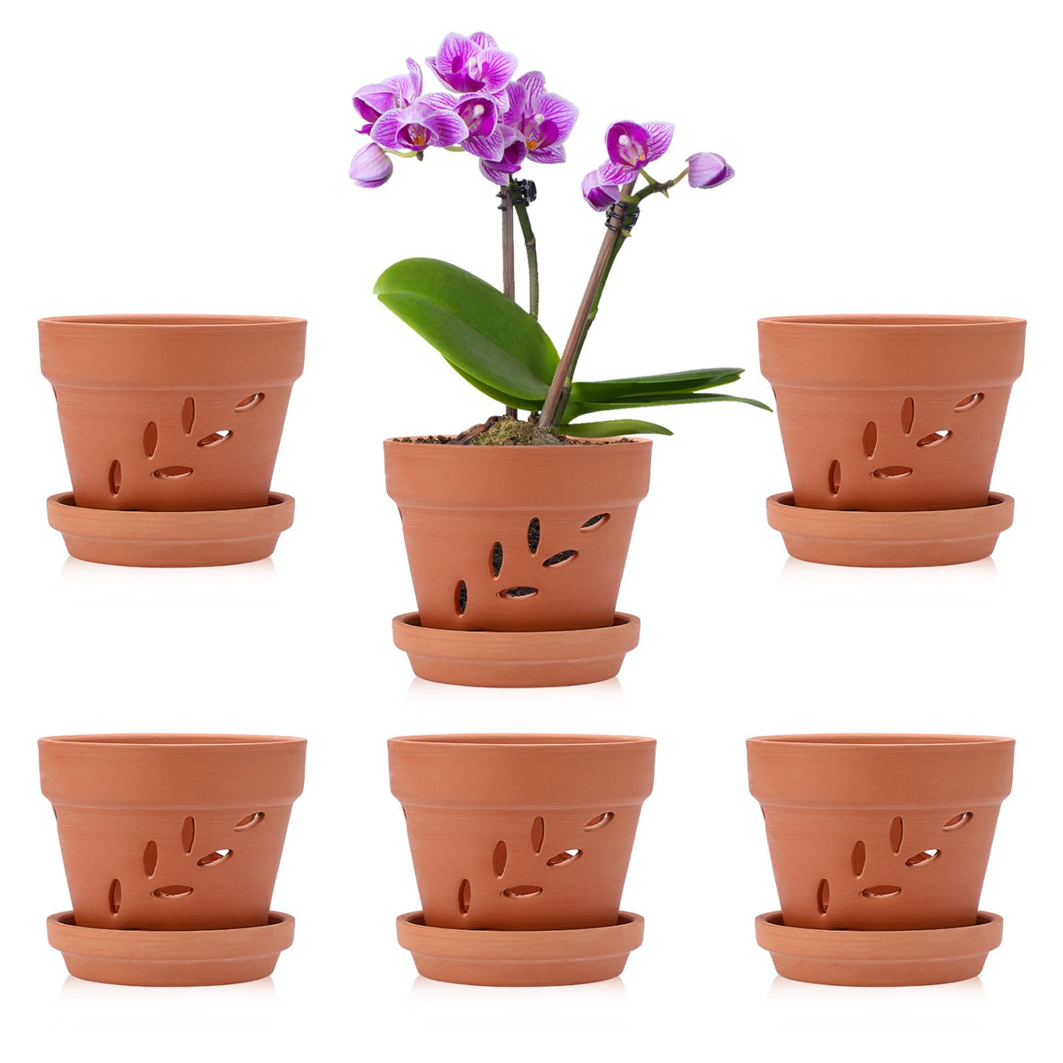 JUXYES 4" Hollowed Out Small Terracotta Orchid Pots with Holes and Saucer