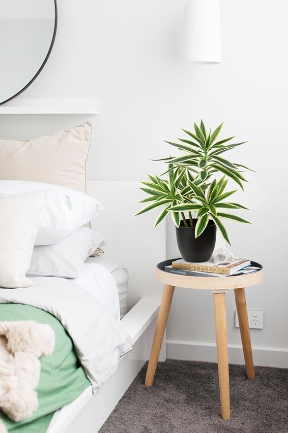 Faux Plants 16.1" Dracaena Artificial Plant Realistic Fake Plants in Pot Small Indoor Plants Fake Potted Plants Artificial Decor for Home Living Room Bathroom Office House Table Desk Shelf, Green