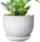 8 Inch Plant Pot,Ceramic Planter with Drainage and Saucer,Ceramic Pots for Plants,Indoor Plant pots,Ceramic Flower pots(Pure White, Plants NOT Included)