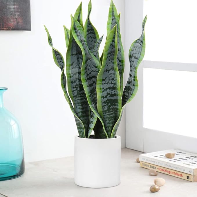 Hollyone Artificial Snake Plant Potted with Solid Wood Plant Stand, 19" Faux Sansevieria Tropical White Ceramic Pots Fake Plants for Home Office Indoor Decor Housewarming Gift