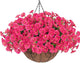 Artificial Fake Hanging Flowers Plants Baskets for Outdoors Spring Summer Decor, Faux Silk Morning Glory in Planter UV Resistant Realistic for Outside Porch Patio Balcony Garden Yard Home, Hotpink