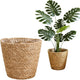 Home Decor Woven Straw Flower Pot Seagrass Planters Basket Garden Plant Pot Containers Wicker Rattan Vase Sundries Organizer Storage Bins for Indoor Outdoor Plants Vintage Decor