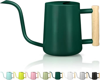 Watering Can Indoor Plants, 35oz Small Indoor Stainless Steel Metal Watering Can Modern Decorative Watering Pot with Long Spout for Indoor House Plant Bonsai Garden Flowers (Alpinegreen)