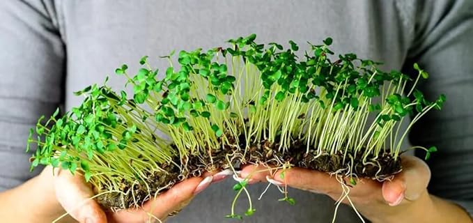 Gardenera Organic Microgreens Premium Potting Mix - Grow Vibrant Microgreens - 4 Quart
