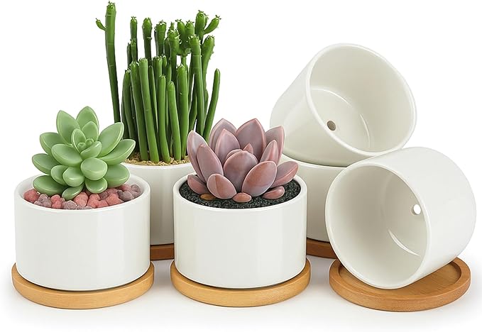 ZOUTOG Ceramic Succulent Pots,4 Inch Plant Pots,Succulent Planters with Drainage Hole & Bamboo Tray for Indoor Plants,White Small Flower Planters for Home,Office,Desk(6 Pack)