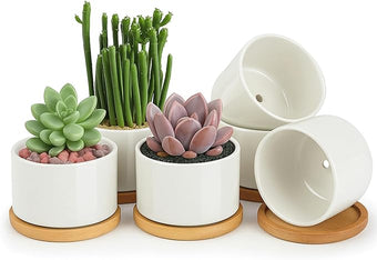ZOUTOG Ceramic Succulent Pots,4 Inch Plant Pots,Succulent Planters with Drainage Hole & Bamboo Tray for Indoor Plants,White Small Flower Planters for Home,Office,Desk(6 Pack)