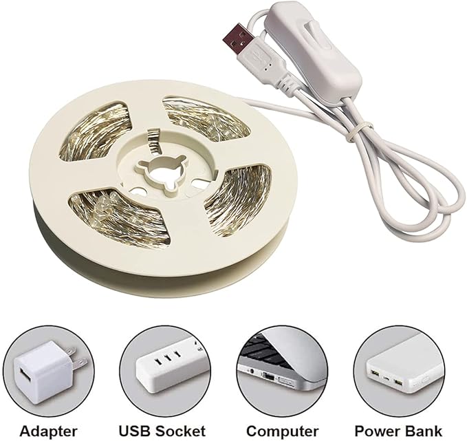 RUICHEN Silver Wire 33 Ft 100 LED USB Fairy String Lights with On/Off Switch (Cool White)