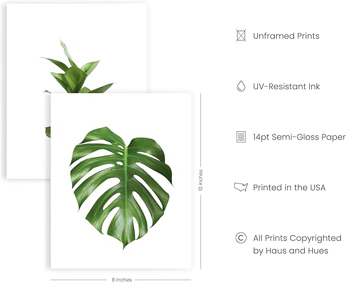 HAUS AND HUES Plant Photo Set of 4-8x10