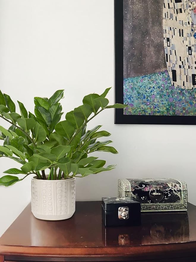 Briful Faux Plants Indoor 17" Artificial ZZ Plants in Ceramic Pot Fake Potted Zamioculcas Silk Plants for Home Table Decor Bedroom Aesthetic (1Pack)