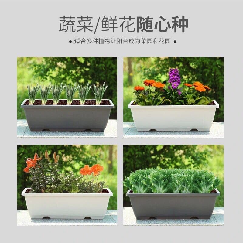HAOHIZE Raised Garden Bed, Rectangular Plastic Planter Raised Beds Large Flower Vegetable Planters Boxes Thicken Planting Pots Plant Containers for Balcony Home Outdoor Window (8 L)