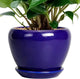 6 Inch Plant Pot - Ceramic Pots for Plants Succulent Pot with Drainage Hole and Saucer Round Planter Outdoor Flower Pot for Herb Snake Plants Blue