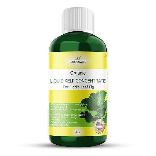 Fiddle Leaf Fig Plant Food – Liquid Seaweed Kelp Fertilizer for Plants – Made in USA (8 OZ)