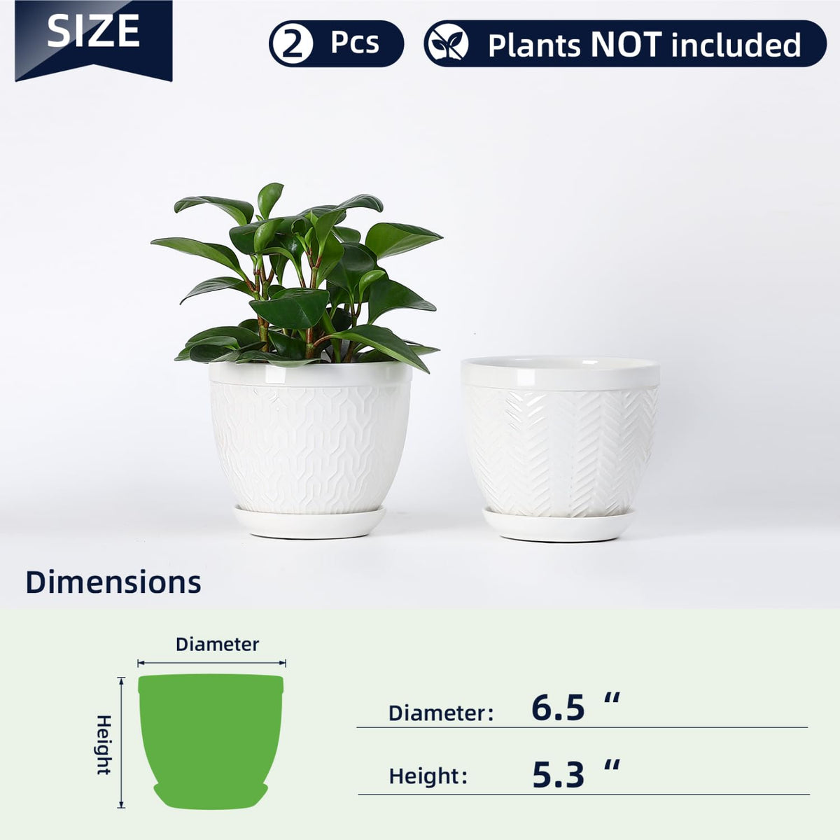 Sureasy HOME & KITCHEN 6.5 Inch Ceramic Plant Pots Set of 2, White Embossed