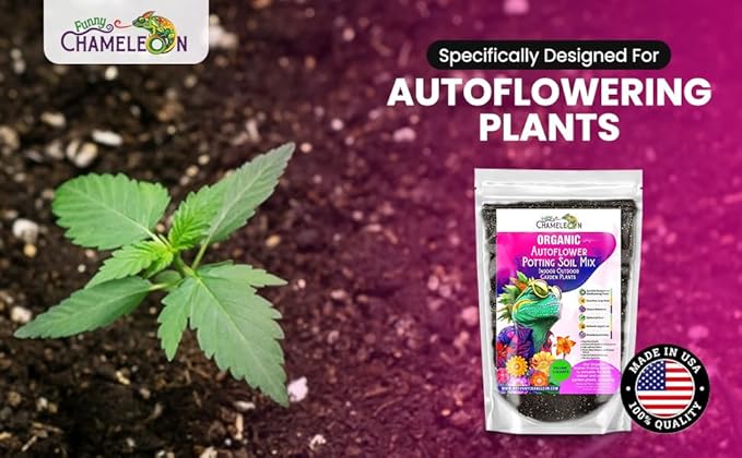 Organic Autoflower Potting Soil Mix – Ready-to-Use Living Soil, No Fertilizers Needed – Balanced Nutrients, Light Texture, Excellent Drainage, Boosts Germination & Root Growth (3 quarts)