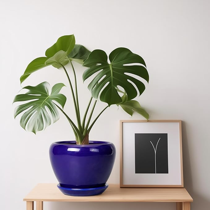 6 Inch Plant Pot - Ceramic Pots for Plants Succulent Pot with Drainage Hole and Saucer Round Planter Outdoor Flower Pot for Herb Snake Plants Blue