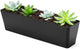 GREANER 16x3.8 Inch Herb Window Boxes 1PCS, Black Planter with Removable Trays and Drainage Holes, Succulent Flower Rectangular Plastic Pot for Balcony, Office, Windowsill, Garden, Indoor Outdoor Use