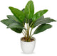 Hollyone Artificial Bird of Paradise Plant in Pot, Fake Palm Tropical Potted Plant 15" Faux Plantain Banana Leaf Plant for Indoor Outdoor Home Desk Office Garden Decoration