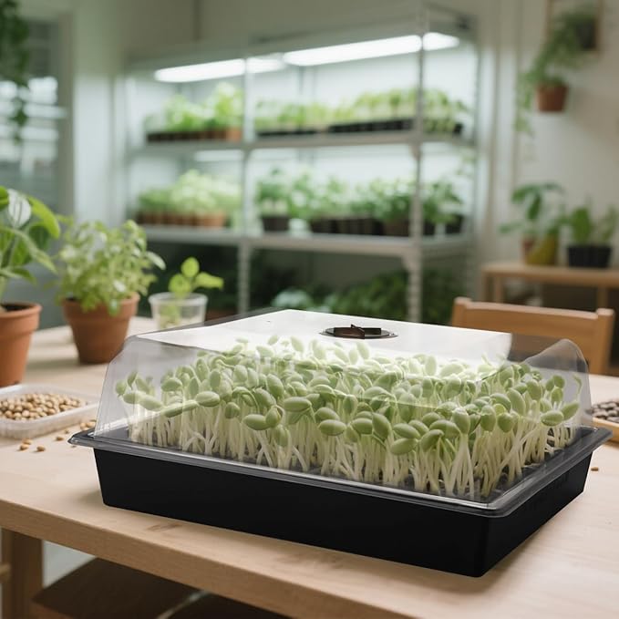 10-Pack Leak-Proof Humidity Domes, Plastic Clear Seed Starter Dome, Seed Starter Tray Covers Humidifying and Insulating for Greenhouse Germination and Garden Growing (16"×13", 4" Height)