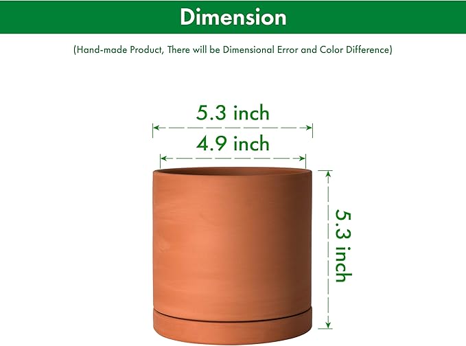 D'vine Dev Small 5 Inch Terracotta Plant Pot with Drainage Hole and Saucer, Round Cylinder Planter Pot for Indoor Plants, Set of 2, 40-X-B-2