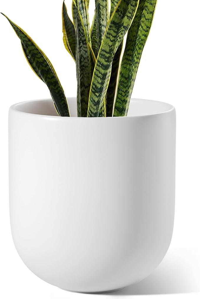 LE TAUCI 10 Inch Plant Pot, Ceramic Pots for Plants with Drainage Hole and Rubber Plug, Plant Pots Indoor for Olive Tree, Cylinder Planter Pot for Home Patio Office, White
