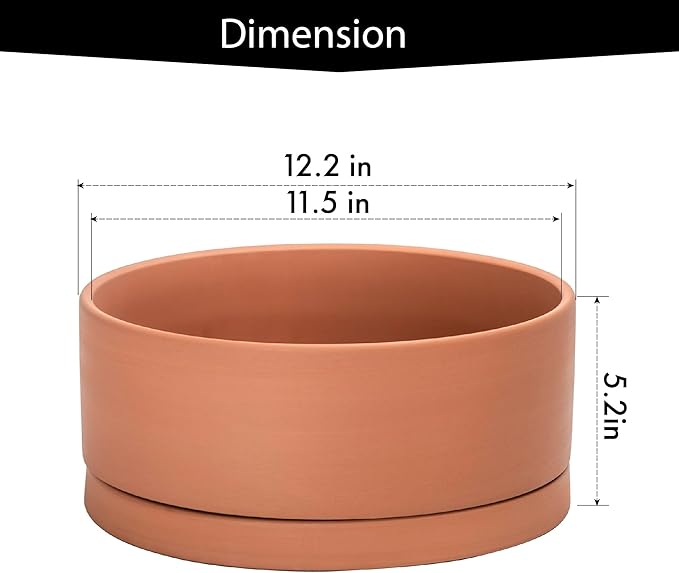 D'vine Dev 12 Inch Succulent Terracotta Shallow Pot with Drainage Hole and Saucer, Round Cylinder Planter Pot for Plant Flower, 40-Y-C-0