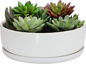 SQOWL 8 inch White Round Ceramic Succulent Planter Pot Modern Flower Cactus herb Big Planter with Removable Saucer Indoor or Outdoor