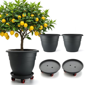 RooTrimmer 3 Pack 16 Inch Rolling Large Plant Pots