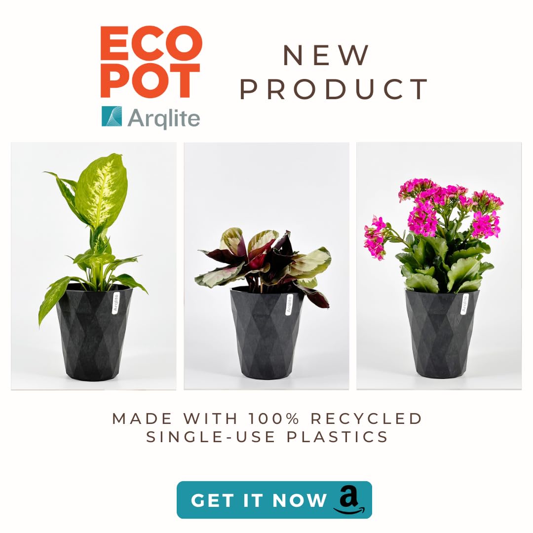 Arqlite Smart Gravel Eco Friendly Plant Drainage for Healthy Roots, Cactus, Succulents, Small Pots (1 Gal, Mini Size Bag)