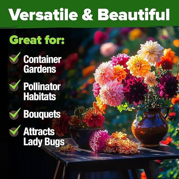 HOME GROWN USA Premium Zinnia Dahlia Seeds Pack for 2026,1048 Non-GMO Flower Seeds, Vibrant Zinnia Elegans for Planting Pollinator Gardens, Borders & Containers, Easy-to-Grow Outdoor Blooms