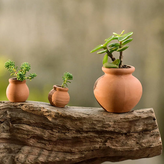 Sewroro 9 Pack Mini Nursery Pots for Succulents Lightweight Plant Pots for Seedlings Small Flower Pots for Desk Windowsill Home Garden Office Decor 1.25 X 0.86 X 0.86 in