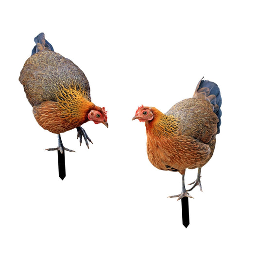 Leefasy Garden Rooster Stake Hen Ornaments Decorative Figures Gift Figurines Animal Statue Stakes Realistic Chicken Sculpture for Farm Patio Outdoor, AB