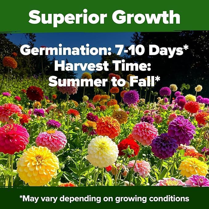 HOME GROWN USA Premium Zinnia Dahlia Seeds Pack for 2026,1048 Non-GMO Flower Seeds, Vibrant Zinnia Elegans for Planting Pollinator Gardens, Borders & Containers, Easy-to-Grow Outdoor Blooms