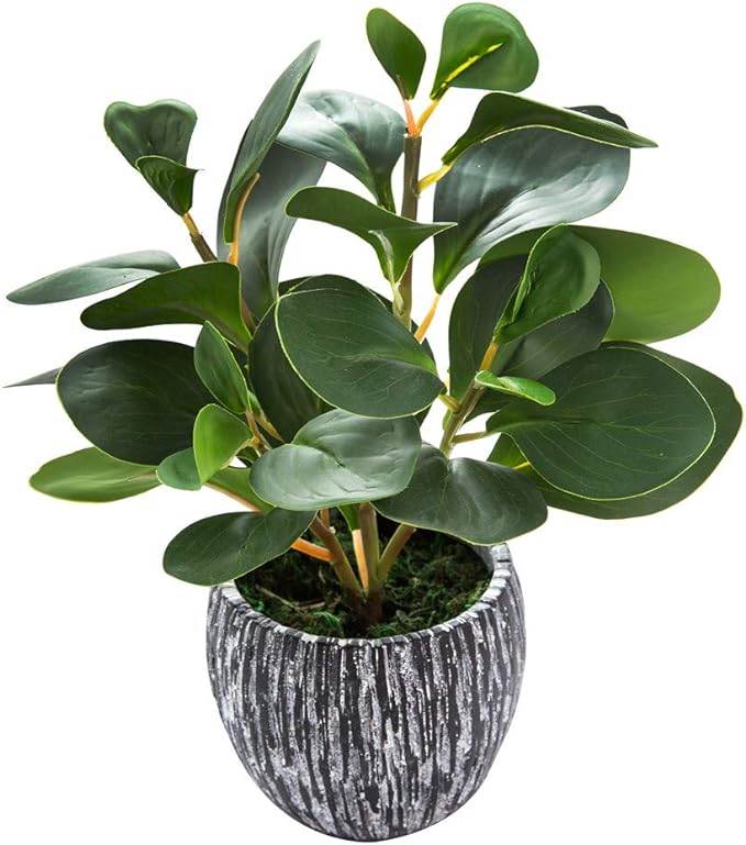 AlphaAcc Artificial Plants Real Looking and Touching Fake Plant Evergreen Plastic Fiddle Leaf Fig Plant with Rustic Black Cement Planter for Housewarming Office Desk Decor