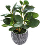 AlphaAcc Artificial Plants Real Looking and Touching Fake Plant Evergreen Plastic Fiddle Leaf Fig Plant with Rustic Black Cement Planter for Housewarming Office Desk Decor