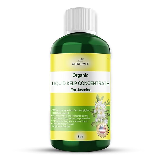 Organic Premium Kelp Seaweed Fertilizer for Jasmin - Liquid Fertilizer - Liquid Plant Food - Nutrient-Rich Soil Enhancer - Natural Plant Food for Jasmin (8 OZ)