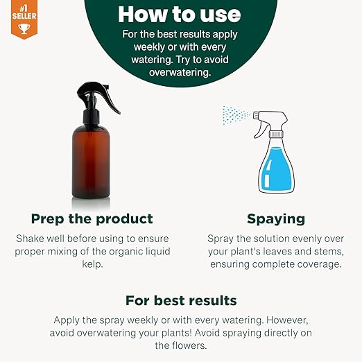 GARDENERA Professional Organic Liquid Kelp Spray for Spider Plant Plants - 8 oz - Ready-to-Use Fully Organic Seaweed & Kelp Fertilizer Mist