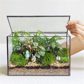 Glass Plants Terrarium with Lid,Rectangle Black Pot Box for Indoor Plants,Geometric Clear Containers for Moss and Succulent,Tabletop Decor DIY Gift,8.3”L x 4.7”W x 5.5”H